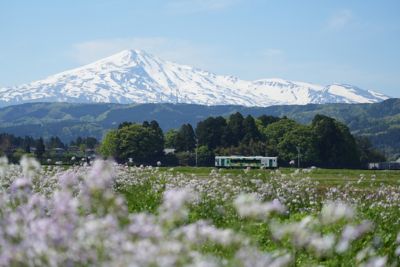 photosample_007