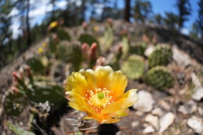photosample_009