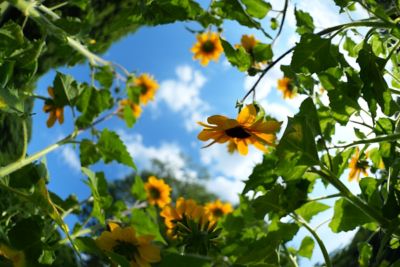 photosample_010