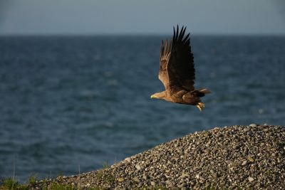 photosample_017