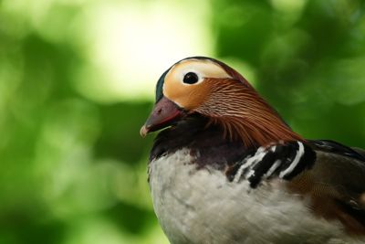 photosample_018