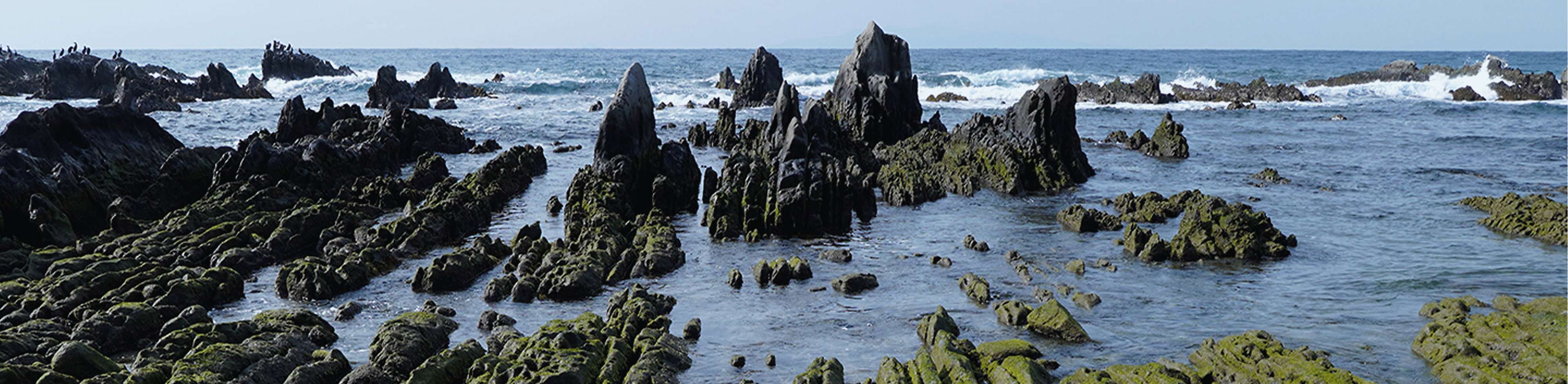 صورة لتشكيل الصخور الساحلية