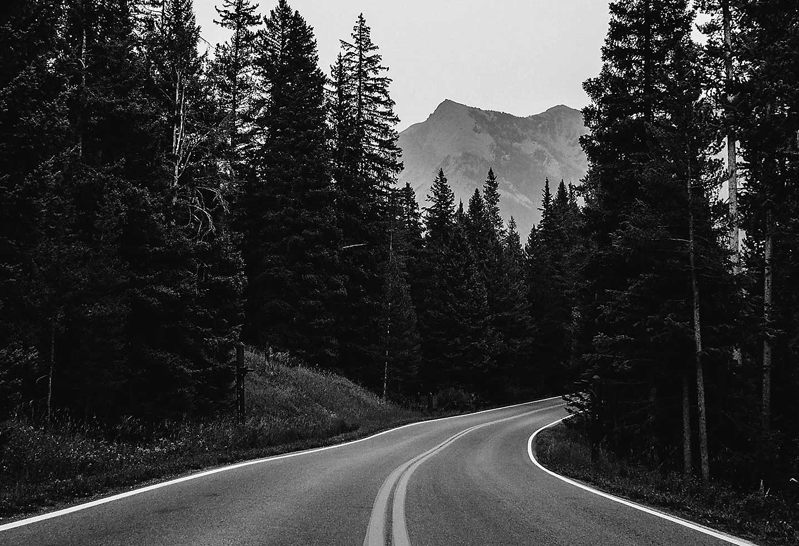 Black and white image of a curved road surrounded by trees with a mountain in the background