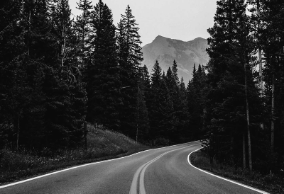 Black and white image of a curved road surrounded by trees with a mountain in the background
