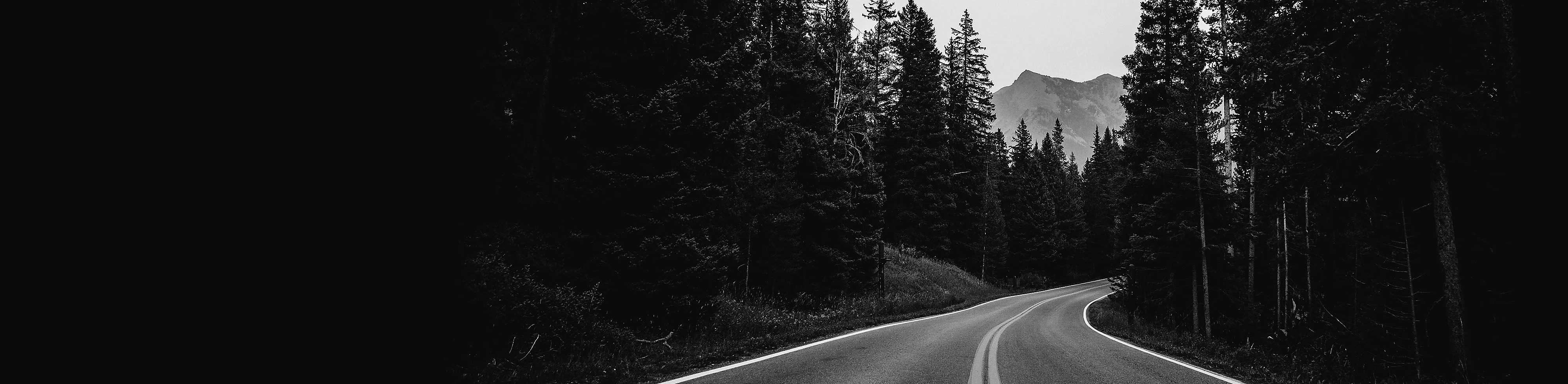 Schwarz-Weiß-Bild einer kurvenreichen Straße, umgeben von Bäumen mit einem Berg im Hintergrund