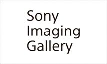 ソニーイメージングギャラリー 銀座:ソニーが運営する写真や映像のギャラリー