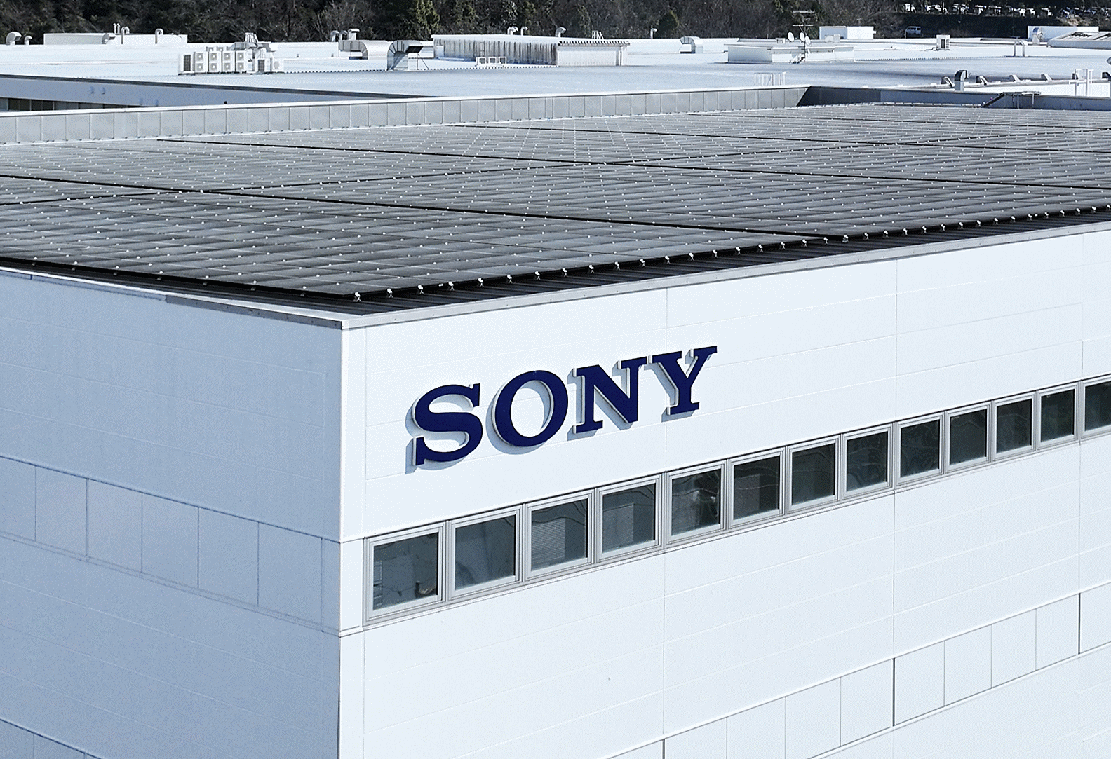 Photo du toit de l'usine couvert de panneaux solaires et du logo « SONY »