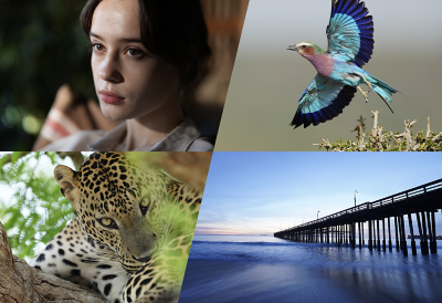 Banner image featuring a leopard, a seascape pier, a portrait of a woman, and a colourful bird, with the text "Explore lenses for your vision”