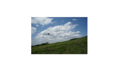 Dog toy flying in the blue sky.