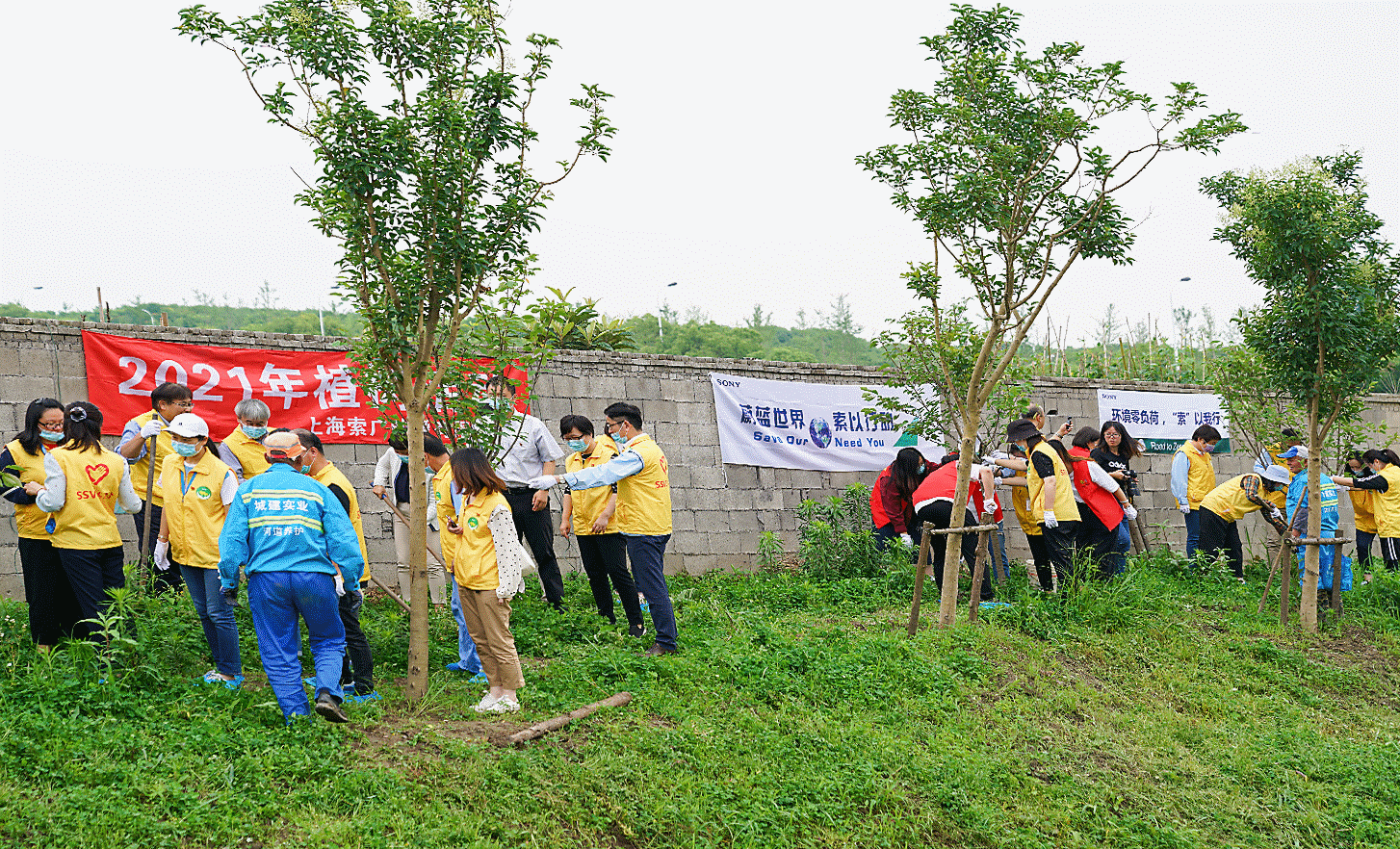 Photograph showing employees of Shanghai site, China participating in cooperative farming activity