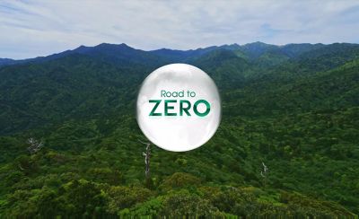 Road to Zero logo in forest