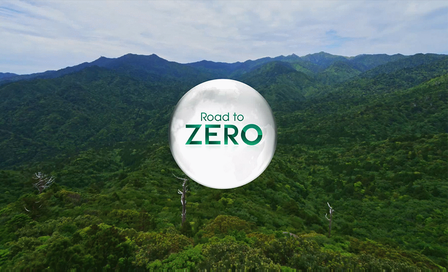 Road to ZERO-Logo in einem Wald