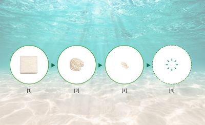 A graphic of four white circles is drawn over a photograph of underwater. Each of the circle windows has a Styrofoam-like photo of a different size, with the material displayed in the left circle being the largest, getting smaller as it moves to the right, and eventually disappearing.