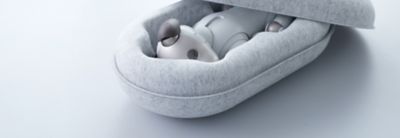 Product image showing aibo in new recycled packaging