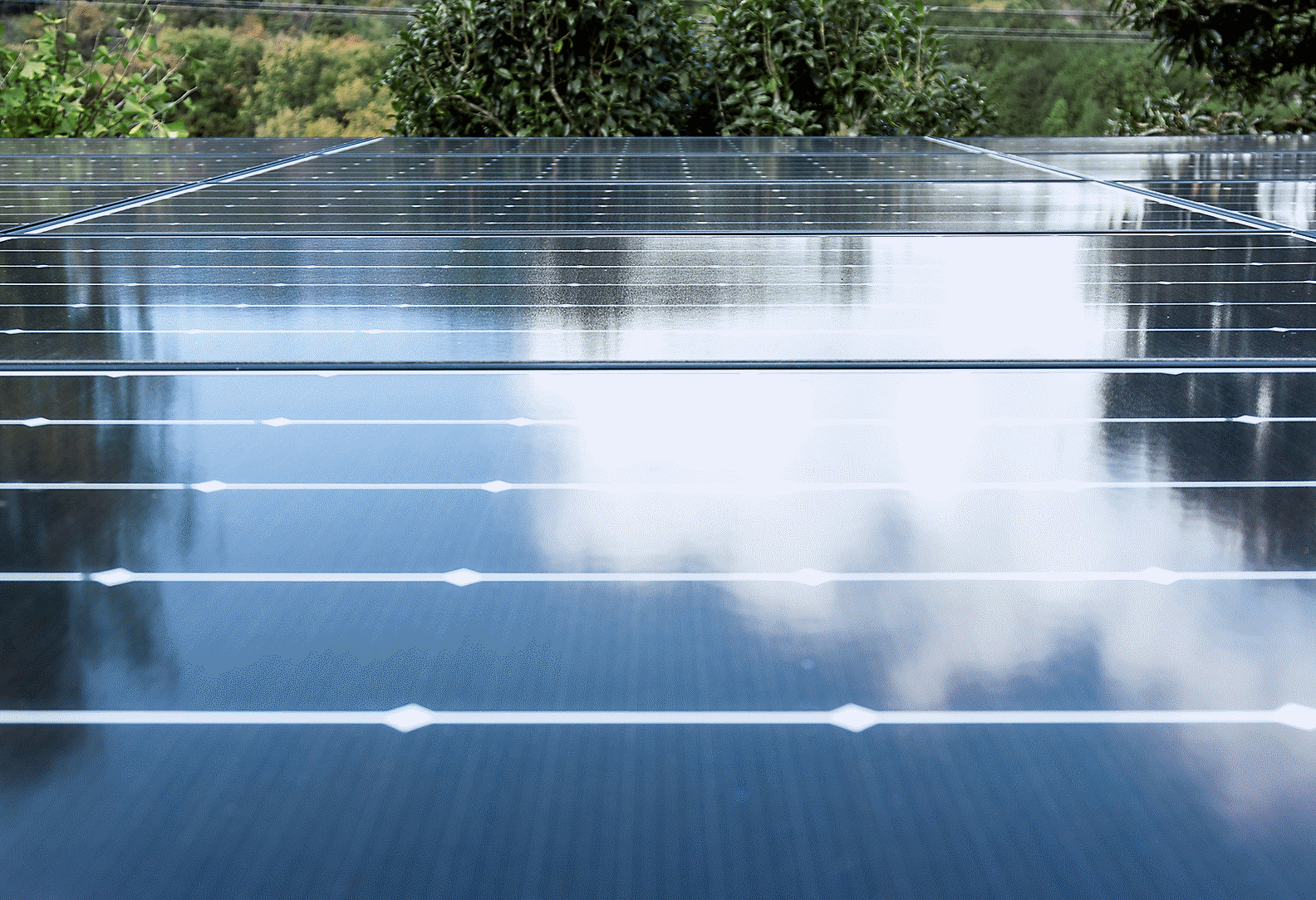 صورة فوتوغرافية تعرض سطح مصنع مغطى بألواح شمسية