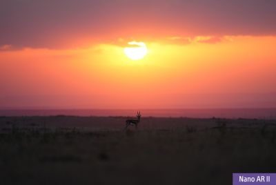 Imagen de ejemplo de una planicie al atardecer