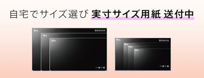 商品一覧 | テレビ ブラビア | ソニー