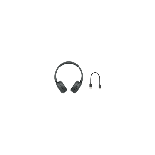  Sony WH-CH520 Wireless Bluetooth On-Ear Headphones